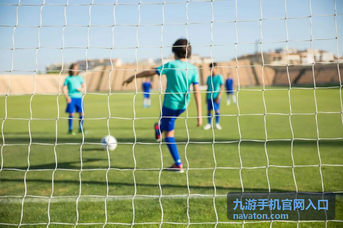 九游手机官网入口手机端省流模式与插件检查