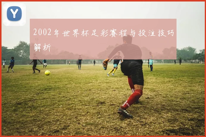 2002年世界杯足彩赛程与投注技巧解析