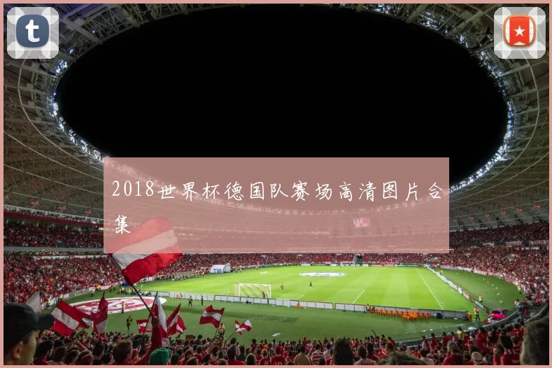 2018世界杯德国队赛场高清图片合集