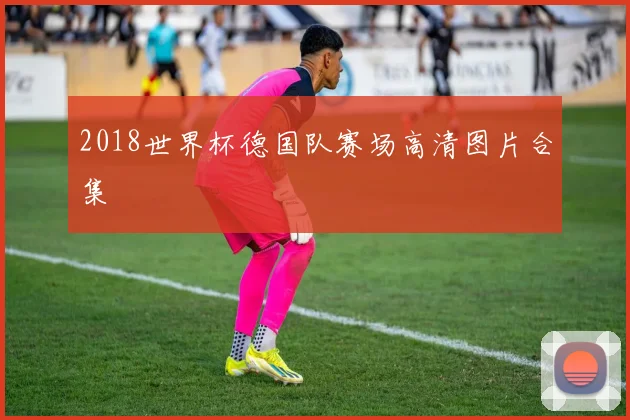 2018世界杯德国队赛场高清图片合集