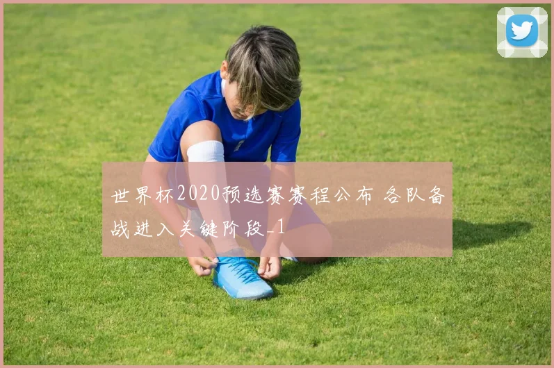 世界杯2020预选赛赛程公布 各队备战进入关键阶段_1