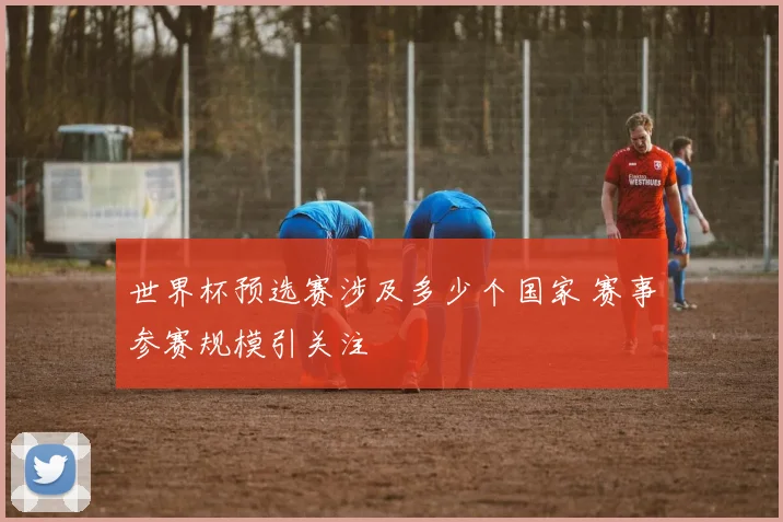 世界杯预选赛涉及多少个国家 赛事参赛规模引关注