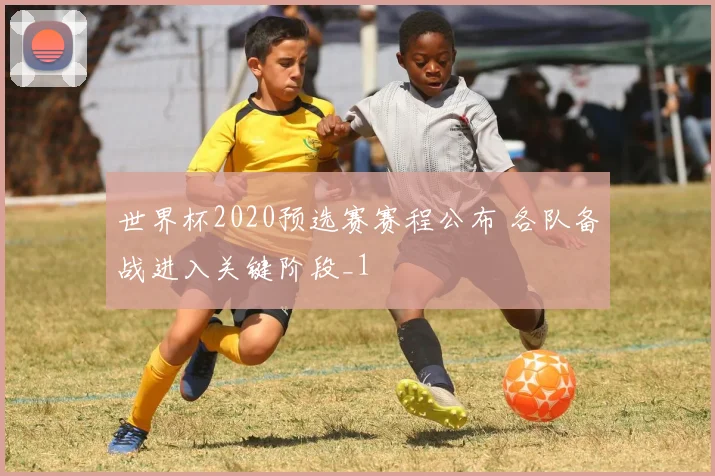 世界杯2020预选赛赛程公布 各队备战进入关键阶段_1
