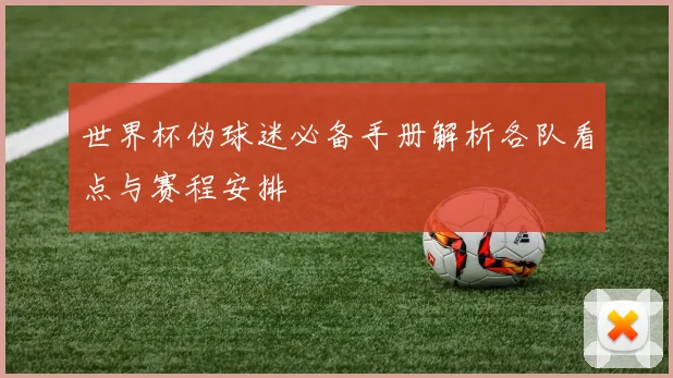 世界杯伪球迷必备手册解析各队看点与赛程安排