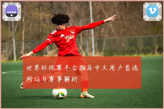 世界杯观赛平台推荐中文用户首选网站与赛事解析