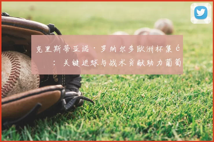 克里斯蒂亚诺·罗纳尔多欧洲杯集锦：关键进球与战术贡献助力葡萄牙夺冠