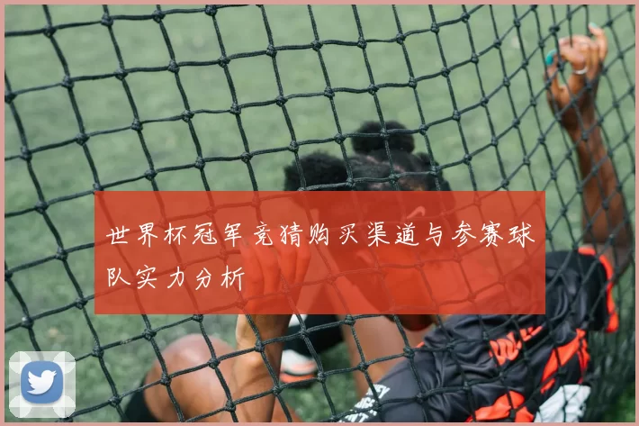 世界杯冠军竞猜购买渠道与参赛球队实力分析