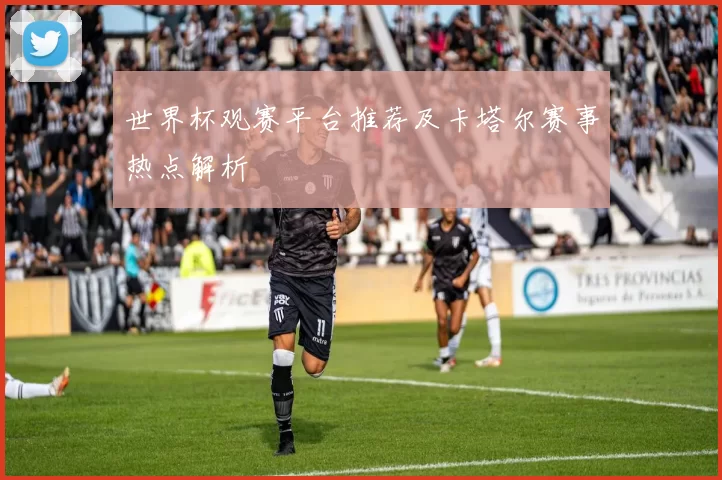 世界杯观赛平台推荐及卡塔尔赛事热点解析