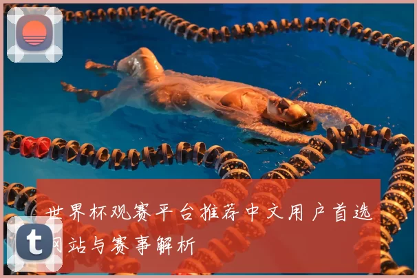 世界杯观赛平台推荐中文用户首选网站与赛事解析
