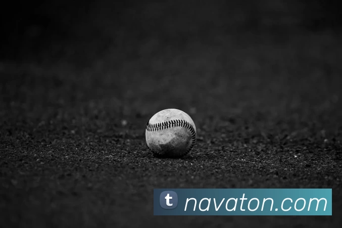 mk体育娱乐官网服务体系